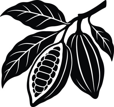 Cocoa Pod Botanical Silhouette Vector Illustration Cacao Fruit Branch Tropical Plant Design.