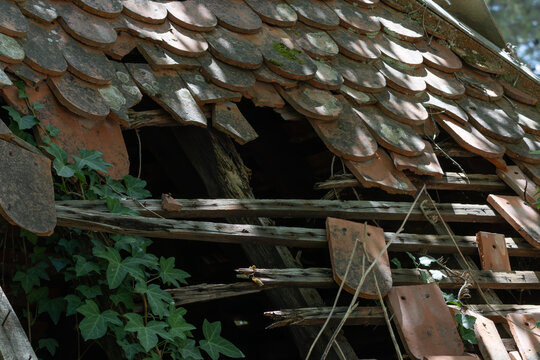 Abandoned building with broken roof tiles and climbing ivy