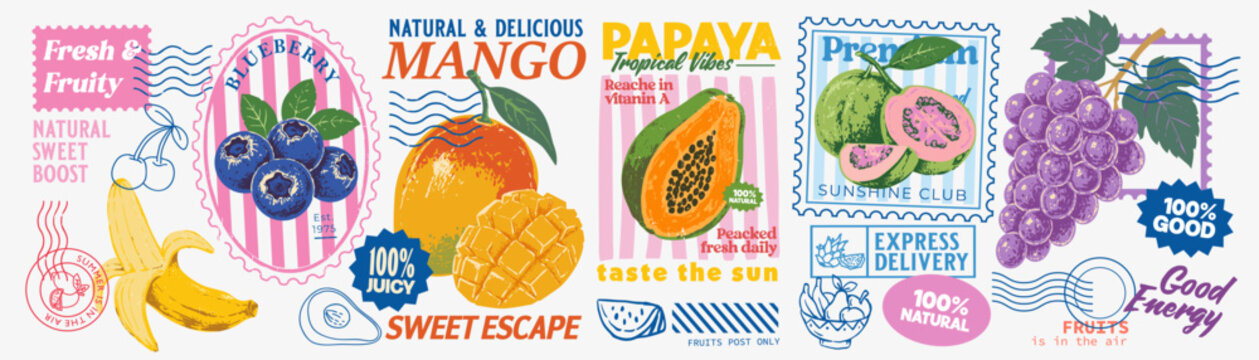 Colorful retro fruit poster and stamp collection featuring mango, papaya, blueberry, guava, grape and banana with bold typography and vintage label design. Fresh tropical vibes for food packaging .