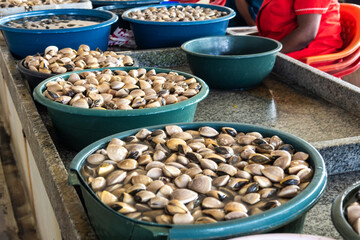 Green  and blue basins filled with life clamps at the Maputo Fish Market in Mozambique © Marieke