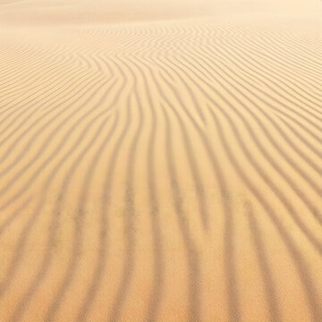 Abstract Wind-Shaped Sand Ripples with Warm Golden Light