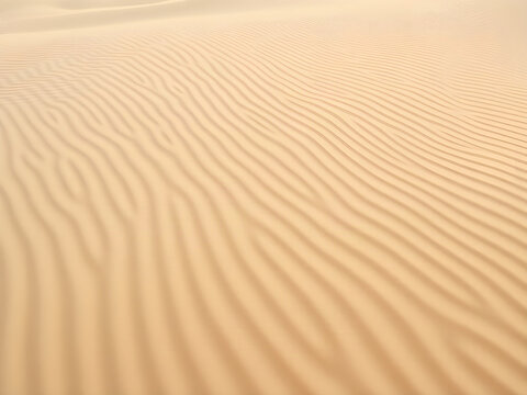 Abstract Wind-Shaped Sand Ripples with Warm Golden Light