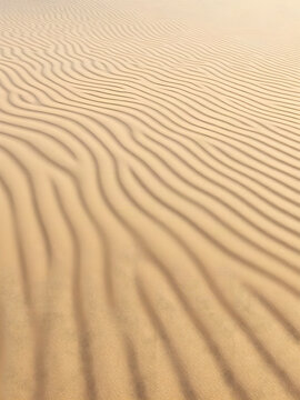 Abstract Wind-Shaped Sand Ripples with Warm Golden Light