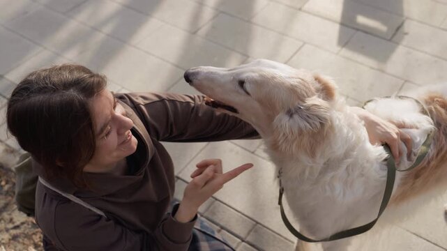 Woman interacts affectionately with large white dog on outdoor paved area. woman holds leash and gently pets calm happy animal throughout scene. Sunlight casts shadows across stone tiles