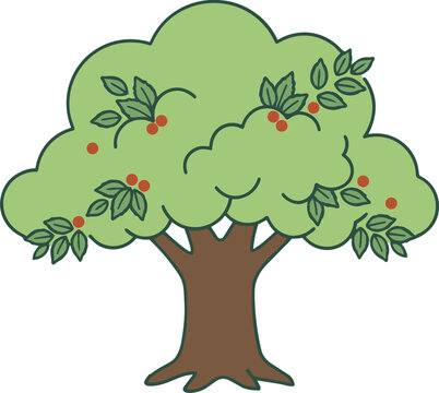 Hackberry