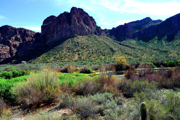 Obraz premium Salt River Recreation Area Arizona