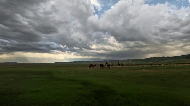 Herd of horses trotting across an open grassland