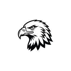 Fototapeta premium bald eagle vector illustration