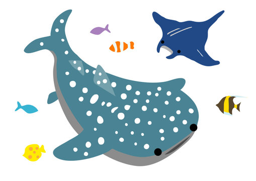 ジンベエザメとマンタと熱帯魚の海のイラスト
