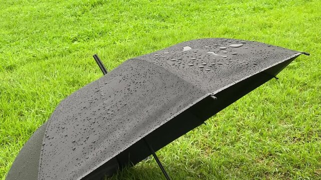 Raindrops falling on a black umbrella placed on the green grass of a public park during a rainy day