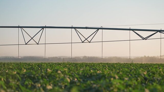 Sprinkler irrigates field water. Irrigation technology helps plant growth. Farm supports crop with watering system. Agriculture depends on sprinkler. Green field shows irrigation plant technology crop