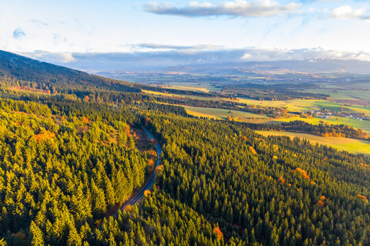 Aerial view of a winding road cutting through a dense coniferous forest during autumn, with golden sunlight illuminating the trees and rolling hills in the distance, Czechia.