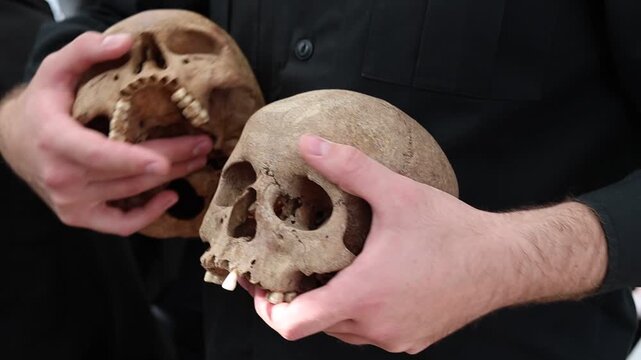 Ancient human skull analysis in archaeology workshop and scientific education