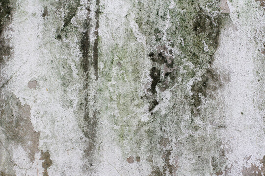 grunge abstract rough-textured concrete wall background