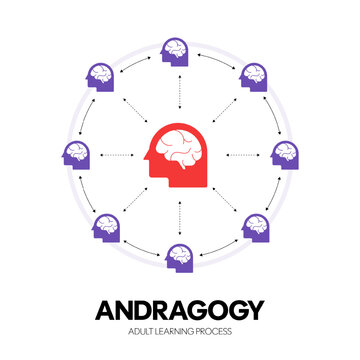 Andragogy adult learning process diagram infographic banner template with icon vector presentation, method and practice of teaching adult learners focusing on their self-direction, experience and need