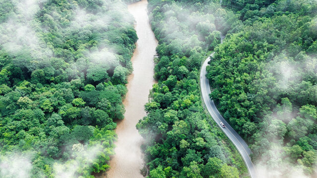 A vibrant red truck drives gracefully on a serpentine road through a lush green forest,, ESG, sustainability and green investment business concepts.	

