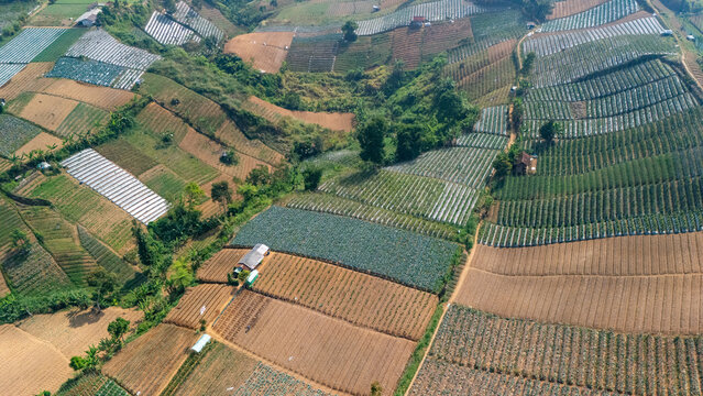 Aerial view of terraced agricultural fields with crops, plastic-covered greenhouses, and small farm structures on hilly terrain in Indonesia.