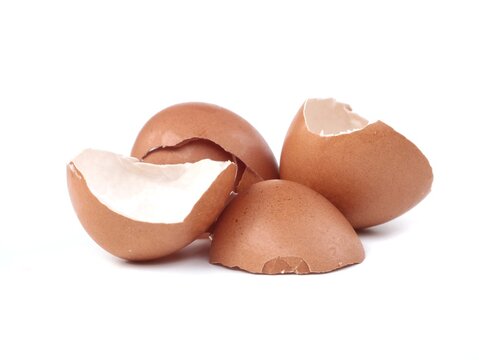 Group of brown broken eggshells isolated on a pure white background. Close up detailed shot of empty egg shells with cracked edges. Suitable for food, nature, recycling, and texture themes