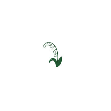 Lily of the valley botanical illustration with delicate white bell-shaped flowers on slender arching stems and fresh green leaves, woodland spring flower, scientific name Convallaria majalis