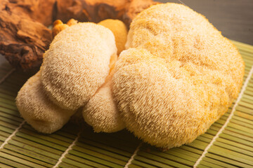 Fresh Lion's Mane Mushroom.  Hericium erinaceus © joanna wnuk