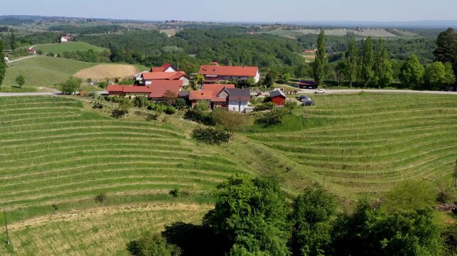 Landscape with vineyards around the village of Jeruzalem, Ljutomer - Jeruzalem is a small settlement in the eastern part of the Slovene Hills (Slovenske gorice) in northeastern Slovenia.