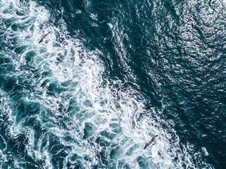 Fototapeta premium Ocean water wake and foaming white waves churning behind a moving boat with navigation turbulence abstract background sunlight reflection