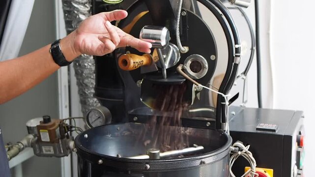 Dumping process at the end of coffee roasting, to be cooled into the rotating cooling tray