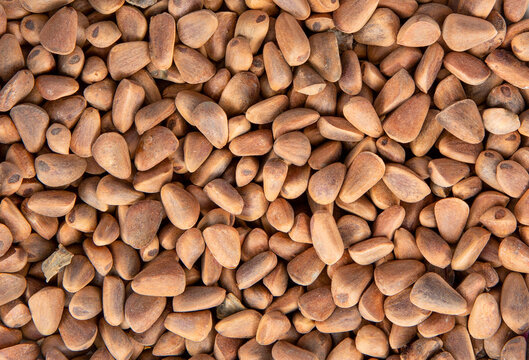 Nuts. Texture of cedar nuts, brown background. Korean (Manchu) pine nuts.