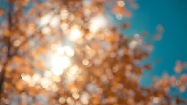 Golden Autumn Sunshine Filtered Through Blurry Fall Foliage And Blue Sky