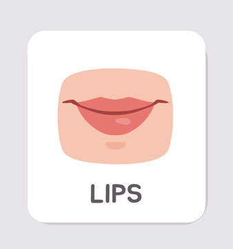 Human lips illustration with the word LIPS on an educational flashcard for anatomy, vocabulary and body parts learning, vector illustration