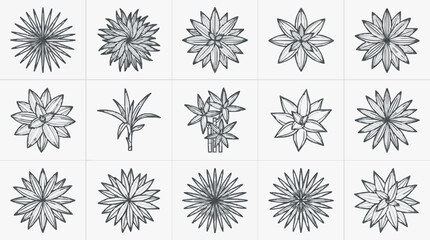 Obraz premium Elegant Floral Patterns Collection of Symmetrical Botanical Line Art Designs