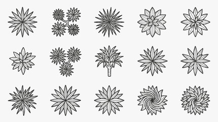 Obraz premium Elegant Symmetrical Floral Patterns and Botanical Illustrations Collection