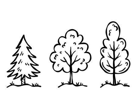 Three woodland trees in a simple black outline collection