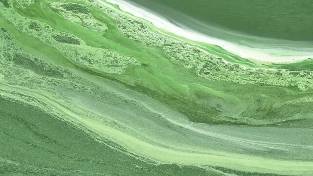 Aerial view captures vivid green industrial wastewater with swirling surface residue, representing water pollution, environmental risk, treatment challenges and sustainable resource management.
