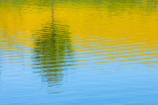 View of a tree reflection in calm water with vibrant yellow rapeseed fields in the background in Brno, South Moravian Region, Czechia.