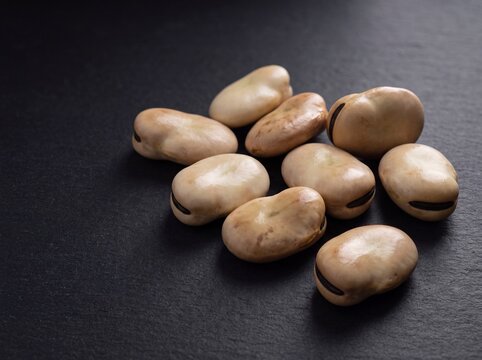 Kacang koro jack bean cluster with distinctive black hilum on dark stone background
