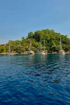 Wooden gulets and yachts anchored in a serene turquoise bay during Gocek 12 Islands tour, Aegean Sea, Turkey