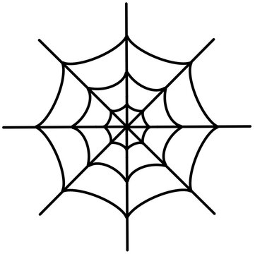 spider and web