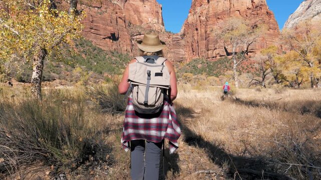 Active woman hiking with backpack and poles on scenic trail in red rock canyon, exploring wilderness of zion national park in utah on sunny autumn day during her vacation. Back view following hiker