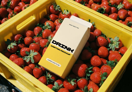 Drink Carton Mockup