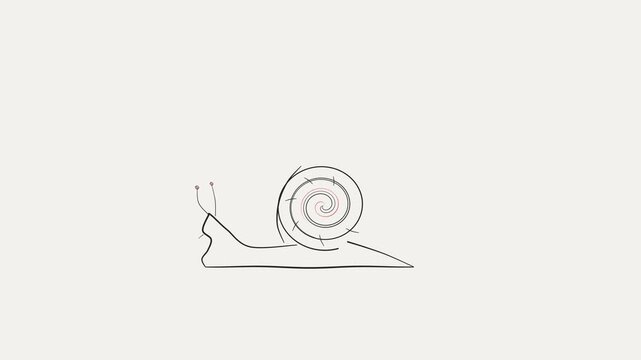 Minimalist Snail Sketch Motion Graphic
