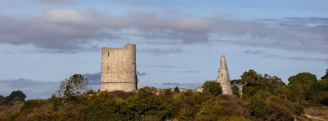Hadleigh Castle in Essex, UK © chrisdorney