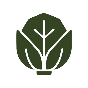 Minimalist cabbage icon in Japandi style featuring a clean geometric silhouette with simplified leaf veins. The balanced organic shapes create a modern vegetable symbol suitable for food packaging, gr