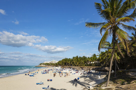 View of a sunny beach with palm trees, turquoise water, and people playing volleyball on the white sand in Varadero, Matanzas, Cuba.