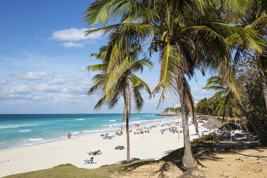 View of a tropical beach with turquoise water, white sand, and palm trees under a blue sky with people relaxing on lounge chairs in Varadero, Matanzas, Cuba.