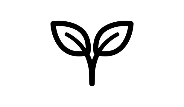 Sprout outline icon with two curved leaves and drop shadow, hand drawn plant growth vector illustration for eco branding design