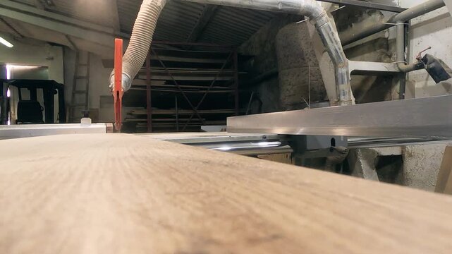 Industrial circular saw cutting wooden board, dramatic low angle view of woodworking production machinery