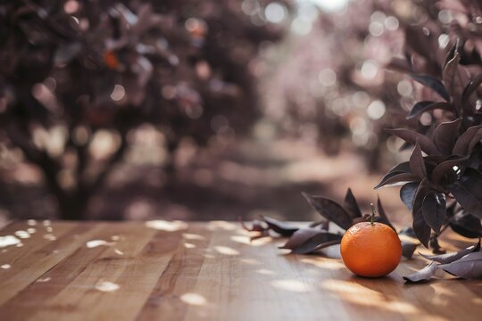 Fresh ripe orange fruit on a rustic wooden table in an orchard with background agriculture vitamins nutrition vegetarian countryside sunshine cultivation freshness