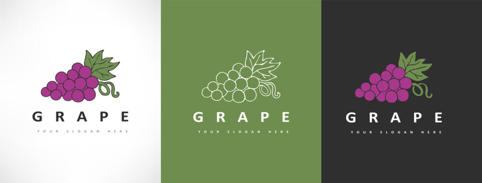 Grapes logo bunchberry vector design