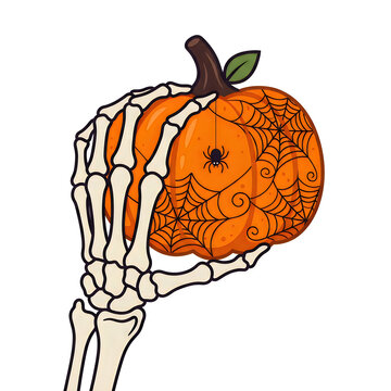Halloween Skeleton Hand Holding Orange Pumpkin With Spider Web, Spooky Bone Clutching Jack-O-Lantern Illustration For Holiday Design And Party Decor isolated on White Background halloween